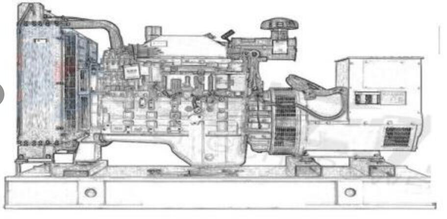 三亞生物科技購買250千瓦上柴柴油發電機組